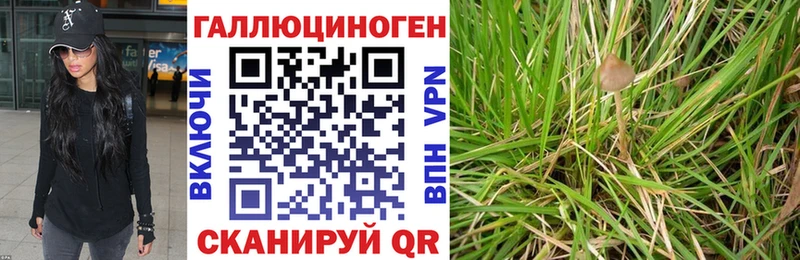 mega зеркало  Искитим  Псилоцибиновые грибы ЛСД 