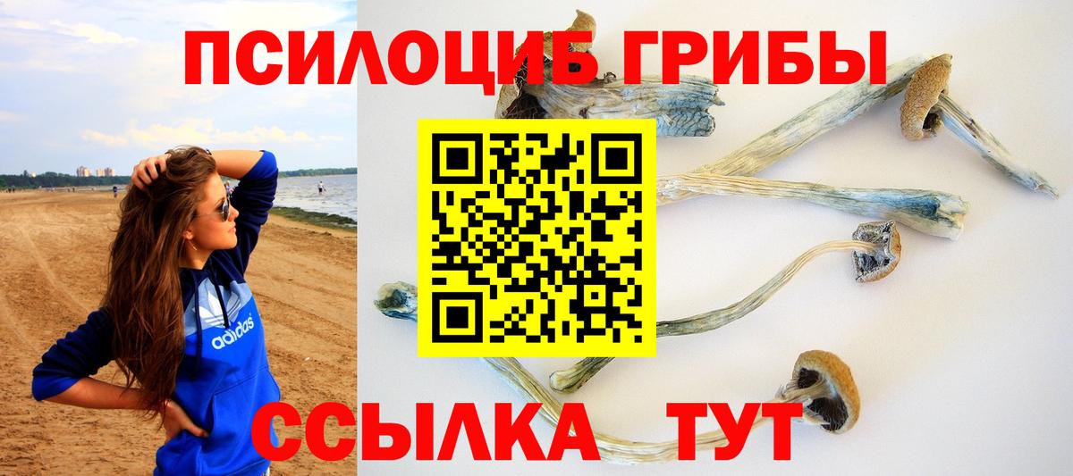 как найти закладки  Вход с VPN  Псилоцибиновые грибы Magic Shrooms  Искитим  Псилоцибиновые грибы прущие грибы 
