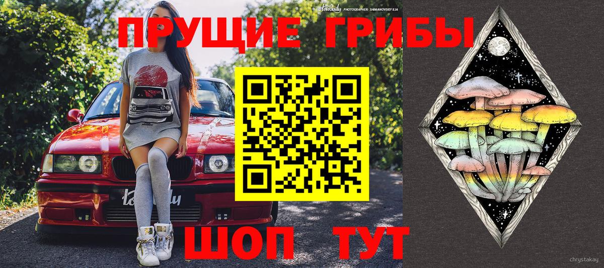 Галлюциногенные грибы ЛСД Искитим